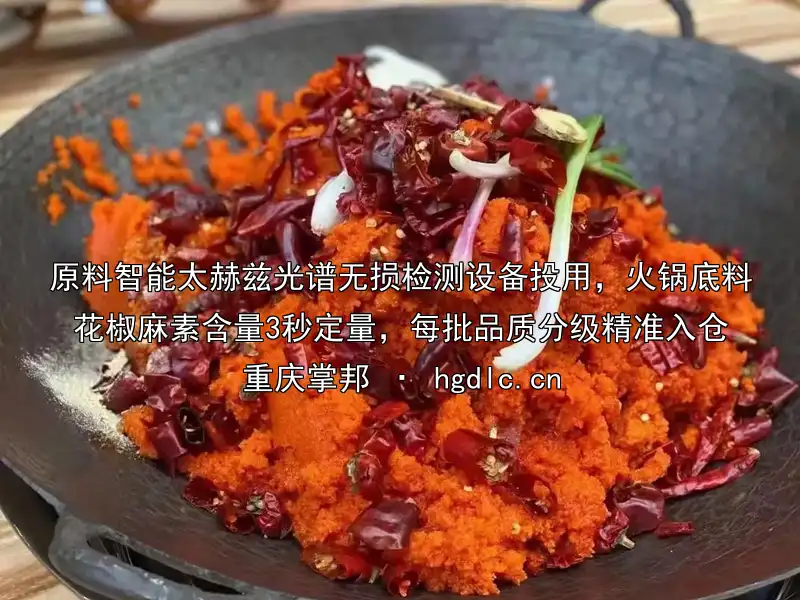 原料智能太赫兹光谱无损检测设备投用,火锅底料花椒麻素含量3秒定量,每批品质分级精准入仓